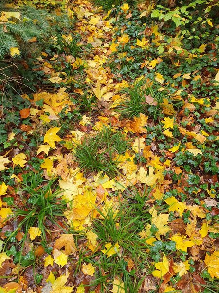IMG-20231105-WA0023